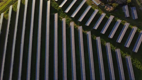 Photovoltaic-Power-Station-farm,-top-down-aerial-orbit,-zoom-in,-golden-hour