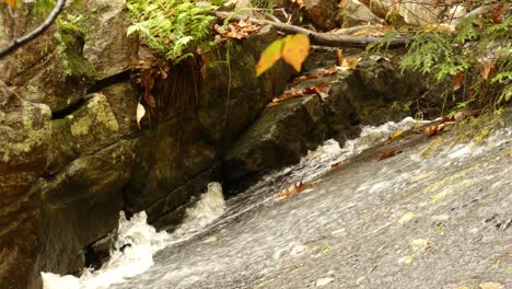 Pan-shot-follows-Fresh-water-flowing-along-rocks,-Cascade-landscape-in-National-park,-Canada