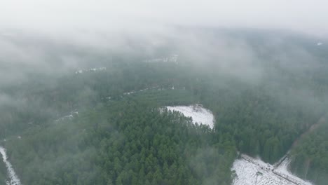 Erstellen-Von-Luftaufnahmen-Aus-Der-Vogelperspektive-Von-Bäumen,-Die-Mit-Leichtem-Schnee-Bedeckt-Sind,-Nordischen-Kiefernwäldern,-Nebligen,-Bewölkten-Wintertagen,-Aufsteigendem-Nebel,-Sich-Bewegenden-Niedrigen-Wolken,-Sich-Vorwärts-Bewegenden-Weiten-Drohnenaufnahmen