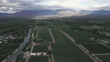 Aerial-Drone-Above-Vineyards-Bordering-Mountains-in-Cafayate-Valleys,-Argentina,-Wine-Production-Region,-Panoramic-Viewge