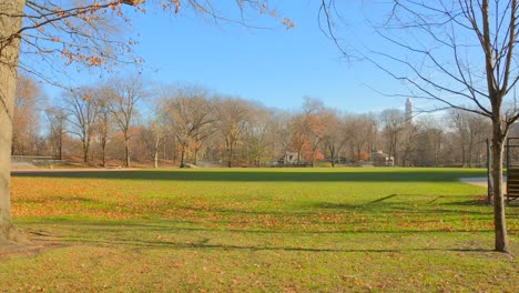 Schöne-Landschaftsansicht-Mit-Grünem-Gras-Und-Blauem-Himmel-Im-Central-Park-In-New-York-City,-Usa