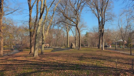 Malerischer-Blick-Auf-Kahle-Bäume-Im-Winter-Im-Central-Park,-New-York-City,-Usa