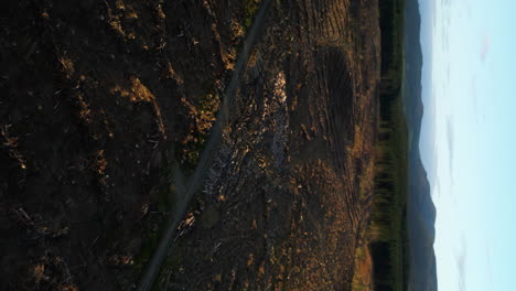Aerial-vertical-clip-of-the-deforestation-disaster-in-forest-to-build-a-road-in-Dunsdale-Recreational-Reserve