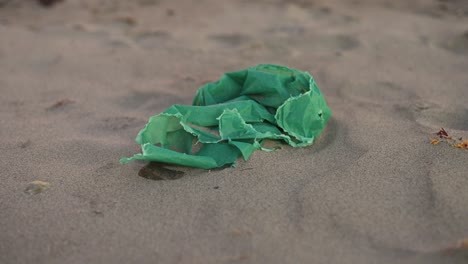 Plastic-bag-in-the-sand-on-the-beach