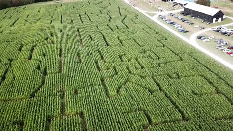 Aerial-view-of-the-a-corn-maze-in-Kentucky,-USA-during-a-sunny-fall-autumn-day