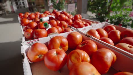 Tomaten-Auf-Dem-Display-In-Einem-Outdoor-Bauernmarkt