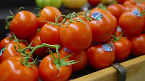 Tomaten-An-Einer-Rebe-In-Einem-Lebensmittelgeschäft