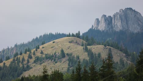 Panorama-Der-Berge-Und-Des-Pinienwaldes