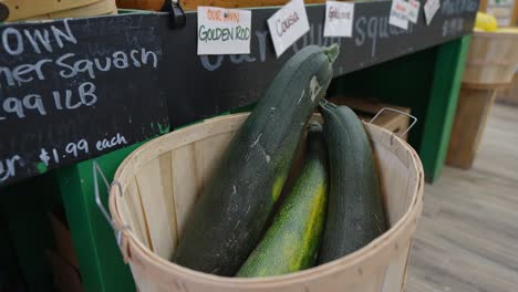 Zucchini-Kürbis-Auf-Dem-Display-In-Einem-Lebensmittelgeschäft