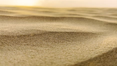 Nahaufnahme-Von-Sanddünenpartikeln,-Die-Bei-Sonnenuntergang-Vom-Wind-Verweht-Werden
