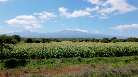 Drone-flying-in-farms-in-kilimanjaro-slopes--Green-Kenya-farms,-poor-settlement-africa-aerial-agronomic-plantation