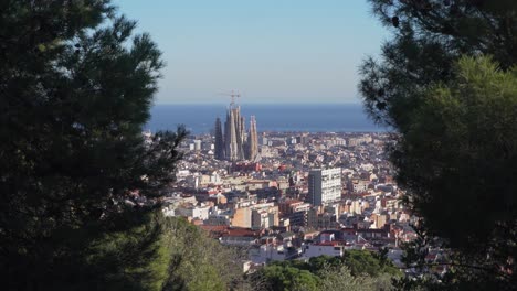 Revealing-Shot-of-the-Sagrada-Familia-and-Barcelona-between-two-Meditarranean-Pines-on-a-Sunny-Day