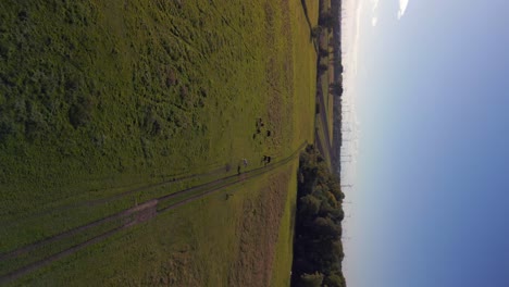Lovely-aerial-view-flight-vertical-bird's-eye-view-drone
of-horses-pasture-field-brandenburg-havelland-Germany-at-summer-sunset-2022