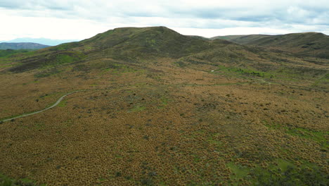 a-vast-landscape-of-Red-tussock