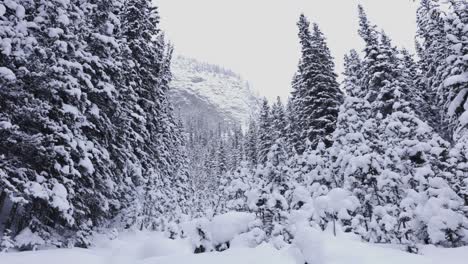 Hike-in-Banff-National-Park,-4K