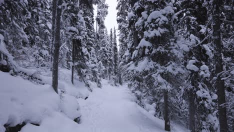 Hike-in-Banff-National-Park,-Winter-Season,-4K