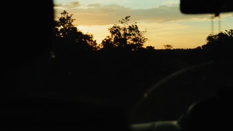 Goldene-Sonnenuntergänge-Strahlen-Durch-Den-Afrikanischen-Busch,-Während-Ein-Safarifahrzeug-Fährt