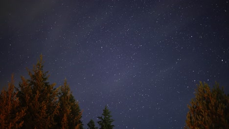 Weiße-Wolken-über-Den-Bäumen-Mit-Sternenhimmel-Im-Hintergrund
