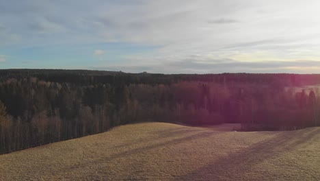 Drone-Disparó-Sobre-Un-Campo-En-Suecia