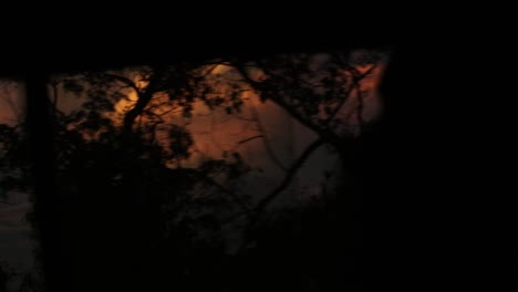 Orange-clouds-during-African-sunset---viewed-through-bush-from-safari-vehicle