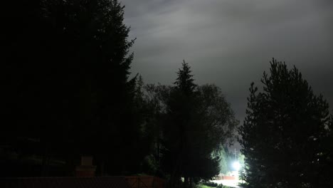 Nightlapse---Bewegung-Von-Wolken-über-Den-Bäumen-In-Der-Nacht