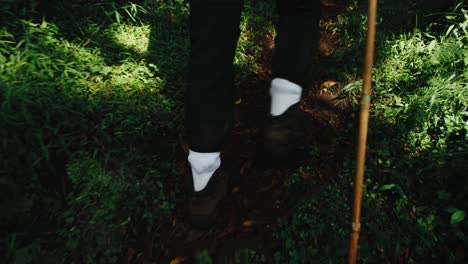 Hiker-walking-through-forest-on-trail-using-hiking-stick