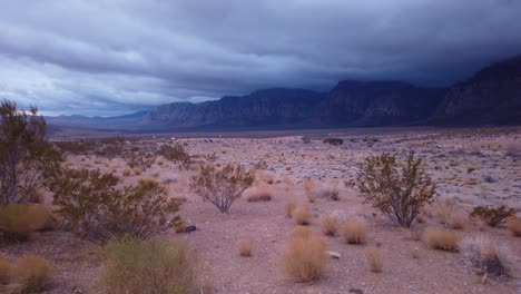 Gimbal-booming-up-shot-from-spiny-desert-plant-to-towering-desert-cliffs-enveloped-by-ominous-clouds-in-Red-Rock-Canyon,-Nevada-at-low-light