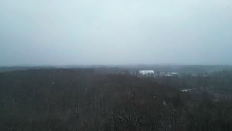 Cinematic-Shot-Of-Green-Forest-In-Snowy-Scene,-Warren,-Ohio,-USA