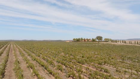 Ariel-view-of-vineyards-and-fields-on-the-outskirts-of-the-historic-village-of-Trujillo,-Extremadura,-Spain