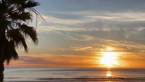 Panoramablick-Palmen-Bei-Goldenem-Sonnenuntergang-Im-Ozean