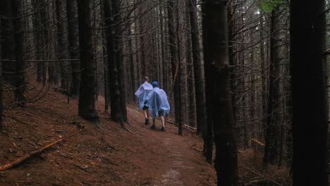 Slow-panning-right-shot-of-two-hikers,-with-light-blue-rain-cloaks,-walking-along-a-mountain-path-in-a-dark-coniferous-forest