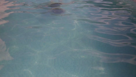 Eine-Junge-Frau-Schwimmt-In-Einem-Freibad-Unter-Wasser-Auf-Die-Kamera-Zu