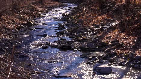 Quiet-winter-stream-or-brook-in-upstate-NY