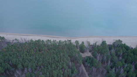 Dense-Forest-And-Sandy-Shore-At-Gorki-Zachodnie-Beach-In-Gdansk-Poland