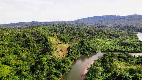 Tropischer-Wald-Und-Fluss