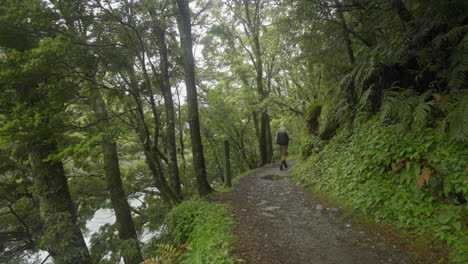 Female-backpacker-using-nordic-walking-poles-on-nature-hike-track,-New-Zealand