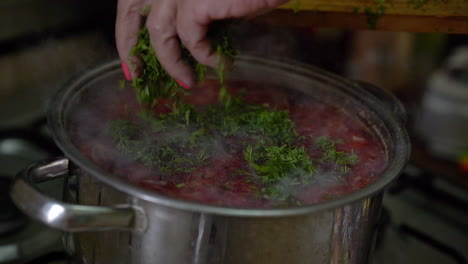 Top-view-of-woman's-hands-fill-freshly-boiled-borscht-with-chopped-fresh-dill,-in-slow-motion