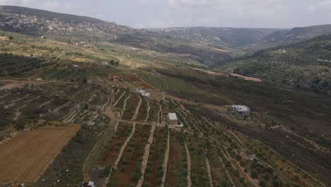 Vista-Aérea-De-Los-Campos-De-Cultivo-En-El-Valle-De-Qadisha,-Líbano
