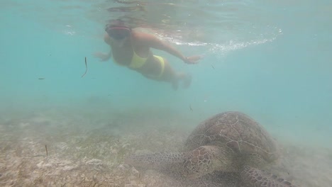 Niña-Nadando-Con-Una-Tortuga-En-Las-Islas-Gili-En-Lombok,-Bali,-Indonesia