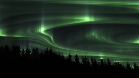 Aurora-Borealis-Moving-Across-The-Night-Sky-Above-Coniferous-Forest---low-angle