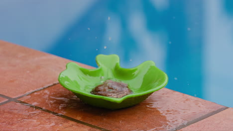 small-metal-object-being-dropped-into-a-green-bowl-of-water-causing-a-splash
