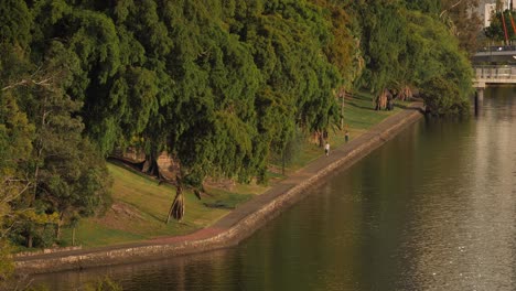 Morning-walkers-in-the-botanic-gardens,-Brisbane-City-from-Kangaroo-Point,-Queensland,-Australia