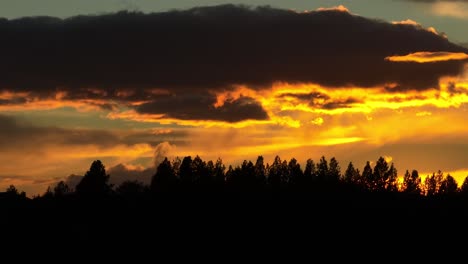 Wunderschöner-Orangefarbener-Sonnenuntergang-über-Sich-Bewegenden-Silhouetten-Bewaldeter-Vororte,-Luftaufnahmen