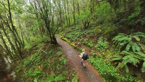 Woman-hiking-on-Rob-Roy-glacier-track-through-native-bush-landscape-in-New-Zealand
