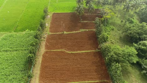 Aerial-shot-of-freshly-plowed-field-full-of-fertile-soil-for-ginger-plantation