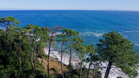 Aerial-shot-from-the-green-coastline-in-the-shore-of-Cantabria,-Spain,-during-a-sunny-day-with-trees,-waves-and-rocks