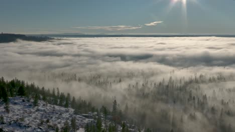 Snowy-wooded-hillside-moves-out-over-foggy-valley-below,-aerial-footage