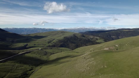 Drone-shot-animals-running-mountain-sunny-day