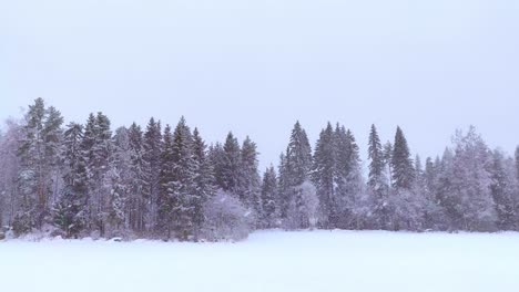 Nevadas-Sobre-El-Campo-Y-El-Bosque-De-Invierno-En-El-Norte-De-Finlandia