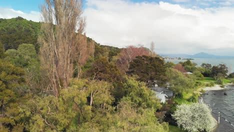 Absteigende-Luftaufnahmen-Von-üppig-Grünen-Berghängen-Und-Dem-Ruhigen-See-Taupo,-Neuseeland